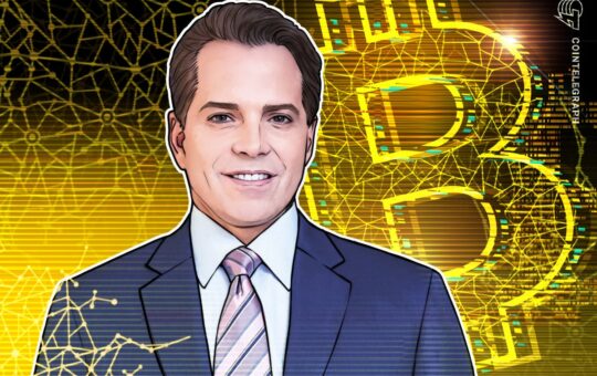 Current Bitcoin Price Correction Is 'Garden Variety'