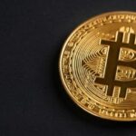 Elon Musk animates Bitcoin waifu after viral fan art request