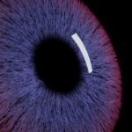 Family offices turn to AI for financial data insights