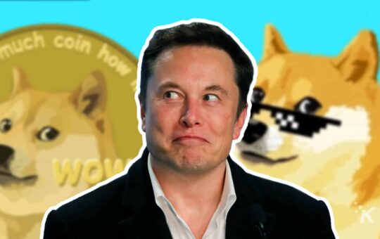 Elon Musk Twitter and Dogecoin