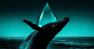 Hyperliquid trader goes all in on oil and gets liquidated in under 40 minutes