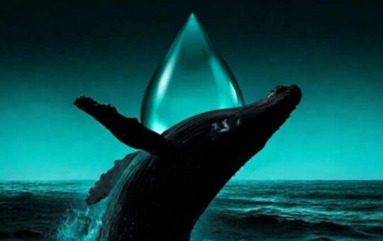 Hyperliquid trader goes all in on oil and gets liquidated in under 40 minutes