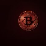 The Bitcoin Bear Market Is Not Coming, And This Is Why