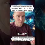 XRP Sunday Market Update #crypto #goviral #reels #xrp #news #viral #cryptonews