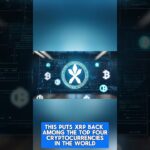 #xrpnews #cryptonews #xrp #xrpprediction #xrpripple #xrptoday #crypto #cryptomarket