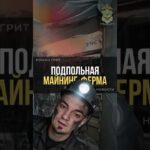 Подпольную майнинговую ферму нашли в крестьянском хозяйстве #новости #news #crypto #cryptonews