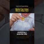 [04/28] Market Fear Grips!   Bitcoin Slips Hard