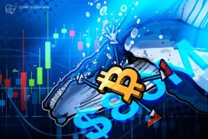 $80M Hyperliquid Whale Bet Predicts Bitcoin Crash and Oil Rally