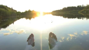 AI workflows for software developers and the need for oversight