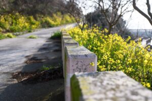 Asylon and Thrive Logic bring physical AI to enterprise perimeter security