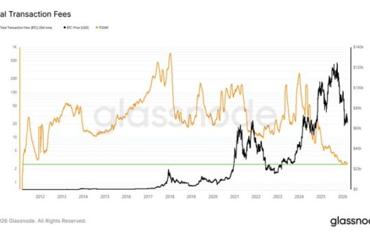 Bitcoin fees