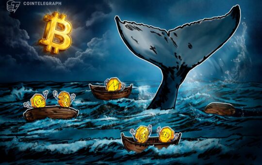 Bitcoin Whales, Sharks Realized $337M in Daily Losses in Q1 2026