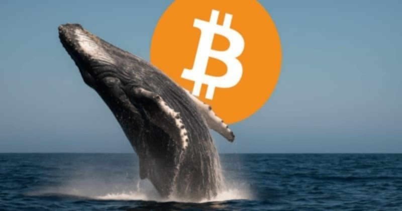 Bitcoin flirts with $72K while a whale bets $80M it won’t last