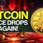 Crypto Market Pulse: Bitcoin Price Drops Again!। Top News of The Day। Powered by CoinSwitch