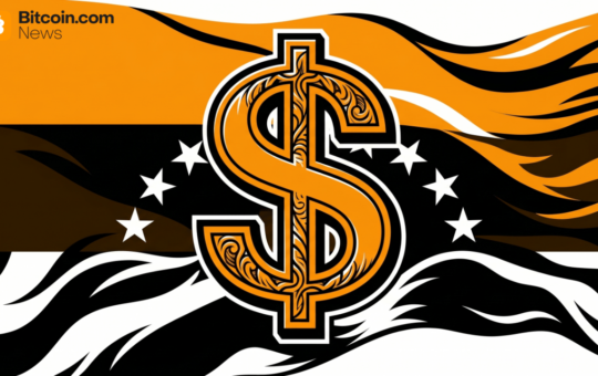 Economist Proposes National USD Stablecoin to Eliminate Currency Controls in Venezuela