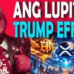 INVERSE TRUMP EFFECT! | Crypto News | Trending News | Update