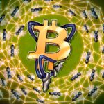 Iran War Cuts Local Hashrate but Global Bitcoin Network Holds Firm