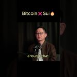 Is SUI the next Solana?