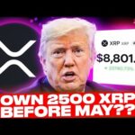 MAJOR XRP PRICE ESTIMATE?!? (I’M STOCKING UP NOW!)