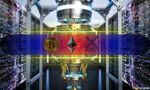 Ranking the Most and Least Quantum-Resistant Assets