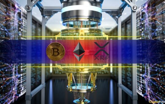 Ranking the Most and Least Quantum-Resistant Assets