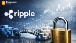 Ripple’s Schwartz Flags DeFi Bridge Trade-Offs After KelpDAO Incident