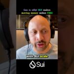 SUI makes moving money FREE online #sui #finance #crypto #cryptonews #suiblockchain #altcoins