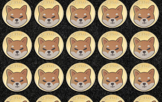 Shiba Inu