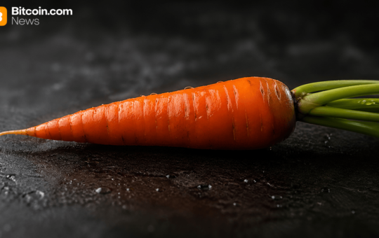 Solana Yield Protocol Carrot Shuts Down After Drift Exploit Drains $8M in TVL