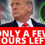 THE MOST IMPORTANT XRP VIDEO OF THE YEAR!