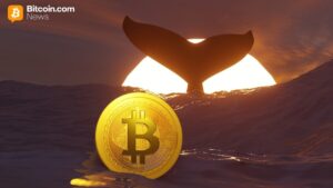 TIm Draper's $250,000 BTC Call, New Whale Data, and More