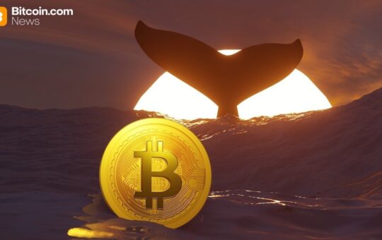 TIm Draper's $250,000 BTC Call, New Whale Data, and More