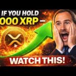 XRP News Today – If You Hold 1,000 XRP Right Now — Stop Everything And Watch This