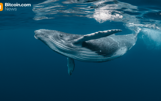 2013 Bitcoin Whale Wallet Transfers 500 BTC After 12 Years of Dormancy