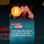 Ae về bờ chưa? #WolfCrypto #Bitcoin #cryptonews