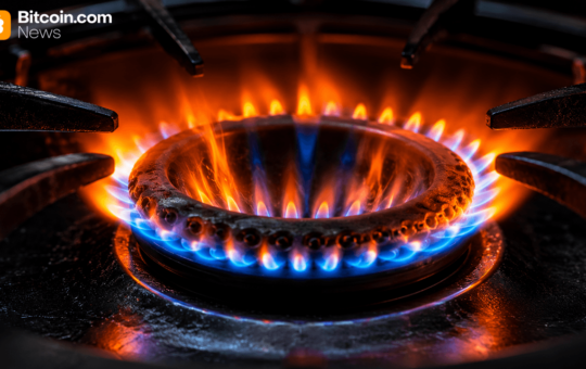 BTC Holds $80K While Momentum Starts Heating Up – Bitcoin News