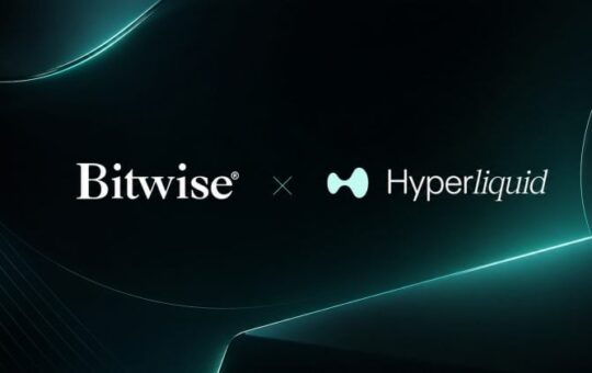 Bitwise CIO says Hyperliquid is undervalued as HYPE leads large cap crypto gains