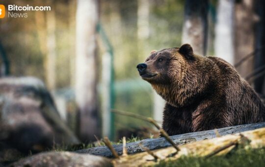 Cryptoquant's Ki Young Ju Warns Bitcoin's Bear Market Could Run Into Early 2027