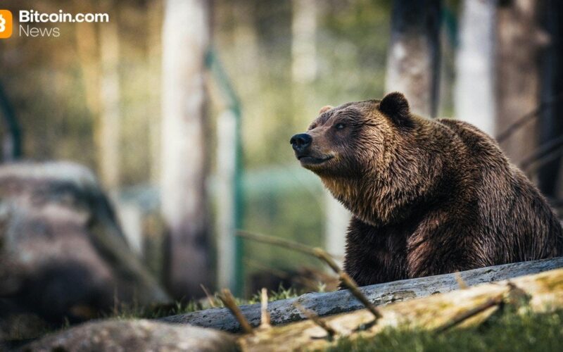 Cryptoquant's Ki Young Ju Warns Bitcoin's Bear Market Could Run Into Early 2027