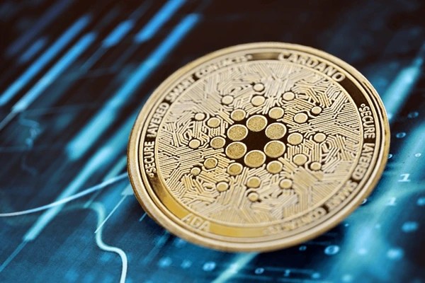Cardano