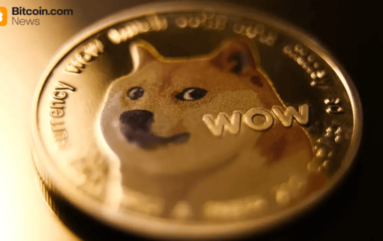Dogecoin Whale Bets $2.25M With 10x Leverage as Big Wallets Hoard Record 108B DOGE