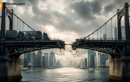 Stables CEO Says Migrant Flows Favor USDT, Driving 60% Cross-Border Dollar Demand