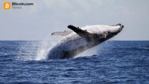 Whale Dumps $100M ETH Short, Pivots to $13.4M Bitcoin Bet at 20x Leverage