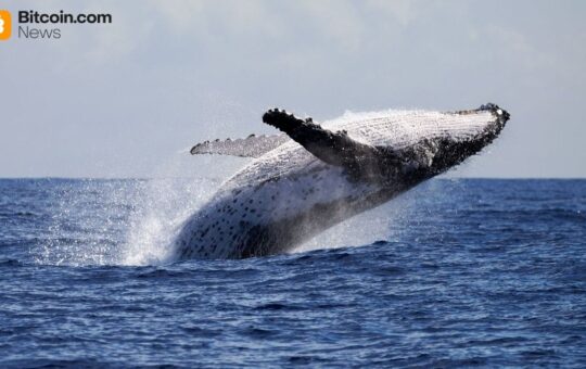 Whale Dumps $100M ETH Short, Pivots to $13.4M Bitcoin Bet at 20x Leverage
