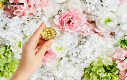 What Bitcoin Was Worth on Every Mother's Day Since 2011