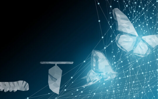 What is a Modular Blockchain?