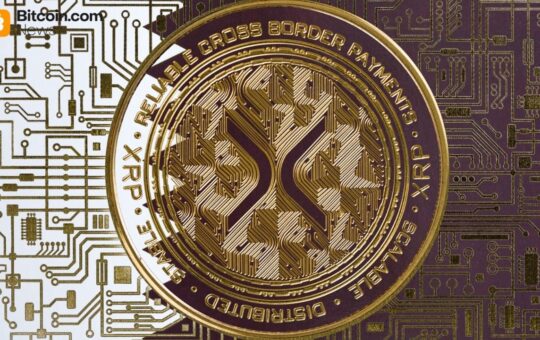XRP Ledger Activity Jumps as Price Tests $1.55, Large Wallets Set Record