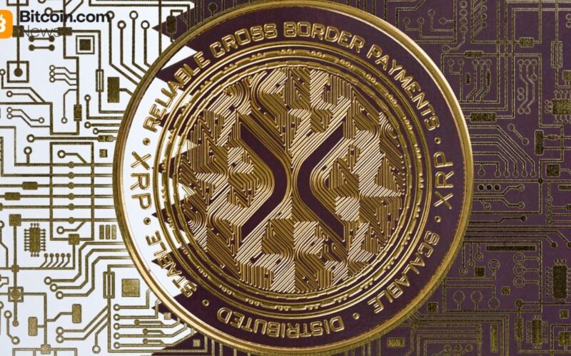 XRP Ledger Activity Jumps as Price Tests $1.55, Large Wallets Set Record