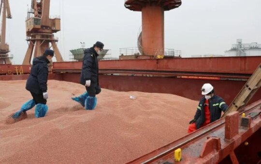Xi-Trump summit may yield farm deal as China limits soybean imports