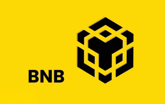 BNB Chain Tops $5.2 Billion in Tokenized Stock Trading, Overtaking Solana